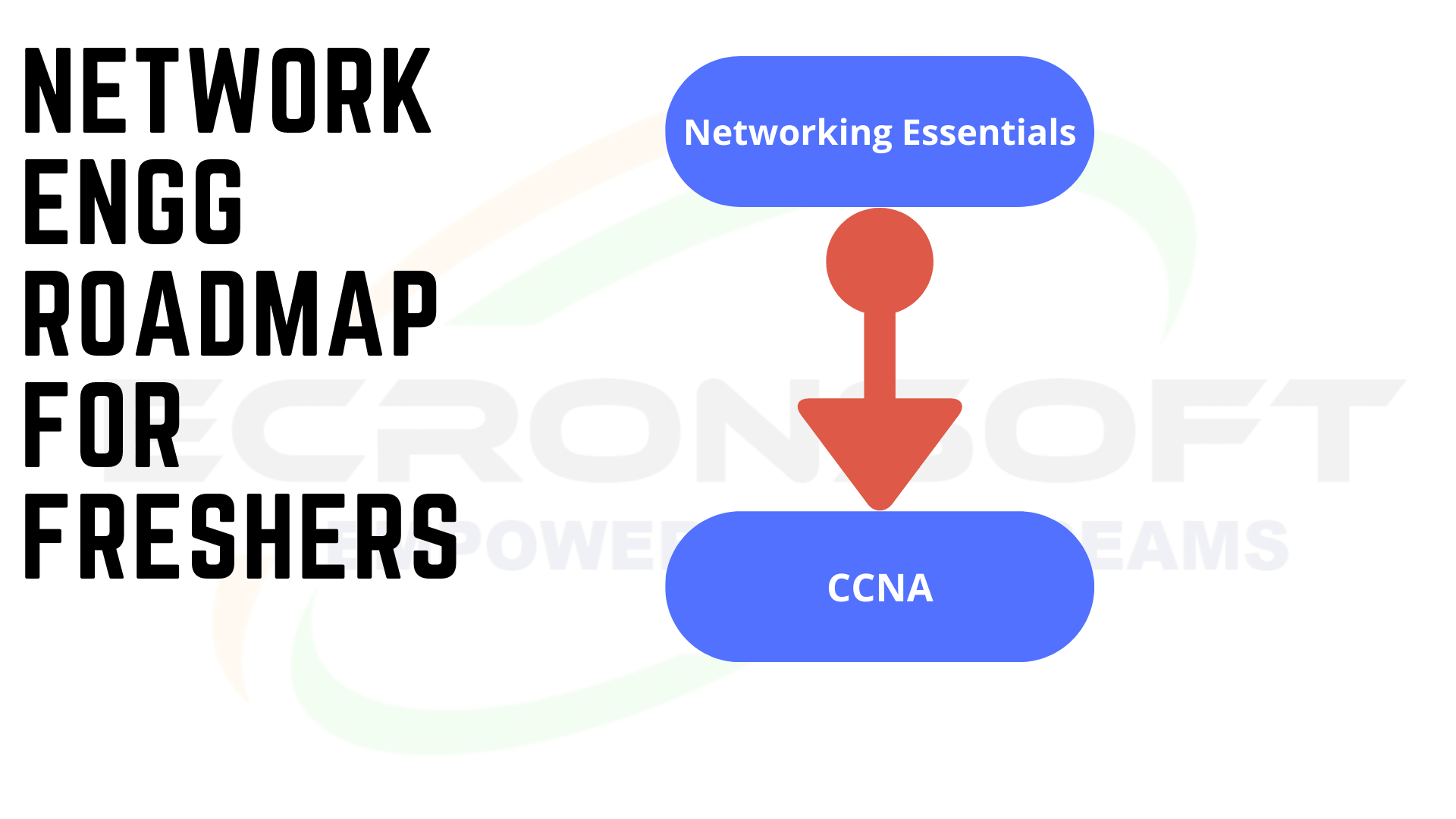 Full Stack Developer Roadmap